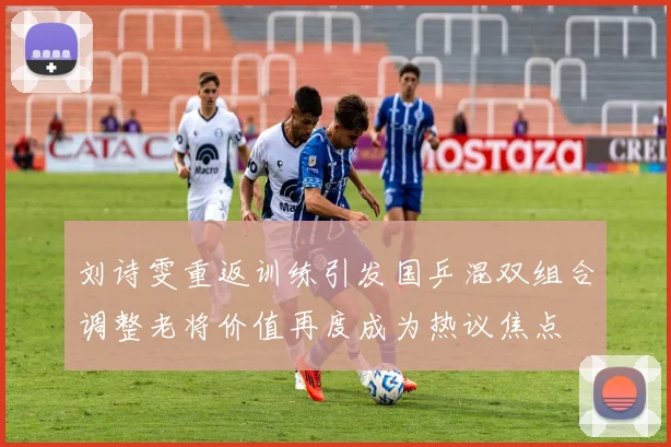 刘诗雯重返训练引发国乒混双组合调整老将价值再度成为热议焦点